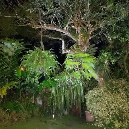 Villa San Antonio - El Valle De Anton Dış mekan fotoğraf